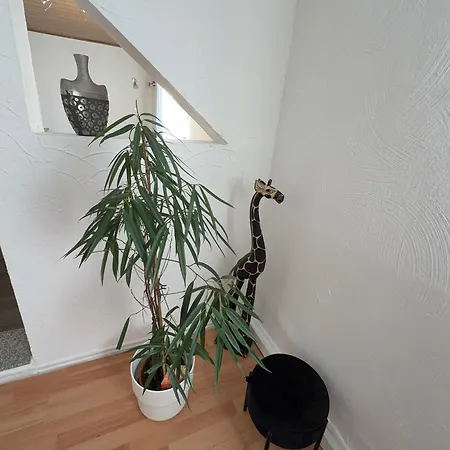 Liki Zentral Appartement